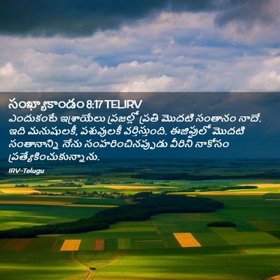 Picture 02 - సంఖ్యాకాండం 8:17 TELIRV - ఎందుకంటే - Bible Verse Picture