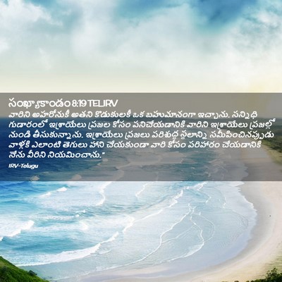 Picture 02 - సంఖ్యాకాండం 8:19 TELIRV - వారిని అహరోనుకీ - Bible Verse Picture