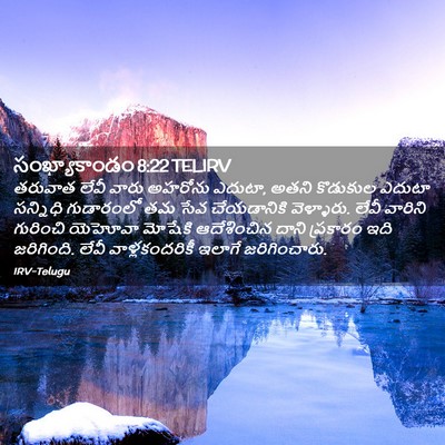 Picture 02 - సంఖ్యాకాండం 8:22 TELIRV - తరువాత లేవీ వారు - Bible Verse Picture