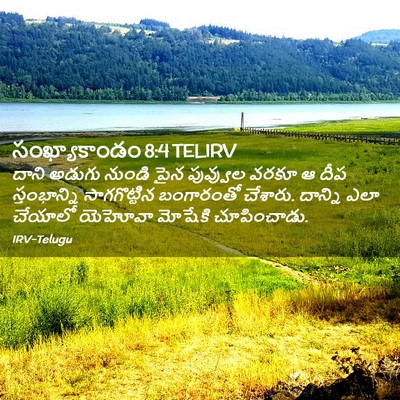 Picture 02 - సంఖ్యాకాండం 8:4 TELIRV - దాని అడుగు నుండి - Bible Verse Picture
