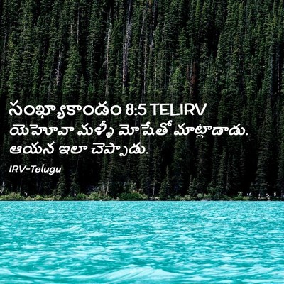 Picture 02 - సంఖ్యాకాండం 8:5 TELIRV - యెహోవా మళ్ళీ - Bible Verse Picture