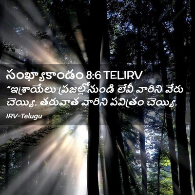 Picture 02 - సంఖ్యాకాండం 8:6 TELIRV - “ఇశ్రాయేలు - Bible Verse Picture