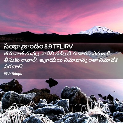 Picture 02 - సంఖ్యాకాండం 8:9 TELIRV - తరువాత నువ్వు - Bible Verse Picture