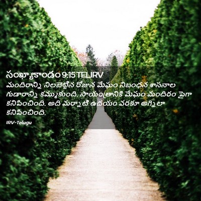 Picture 02 - సంఖ్యాకాండం 9:15 TELIRV - మందిరాన్ని - Bible Verse Picture