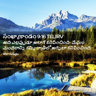 Picture 02 - సంఖ్యాకాండం 9:16 TELIRV - అది ఎల్లప్పుడూ - Bible Verse Picture