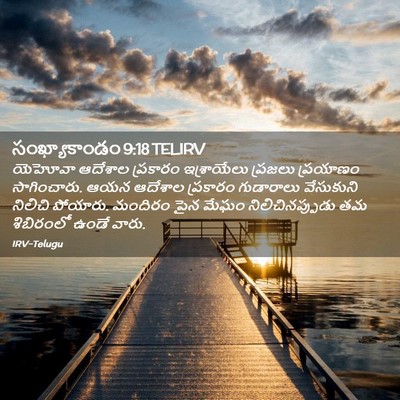 Picture 02 - సంఖ్యాకాండం 9:18 TELIRV - యెహోవా ఆదేశాల - Bible Verse Picture