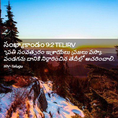 Picture 02 - సంఖ్యాకాండం 9:2 TELIRV - “ప్రతి సంవత్సరం - Bible Verse Picture