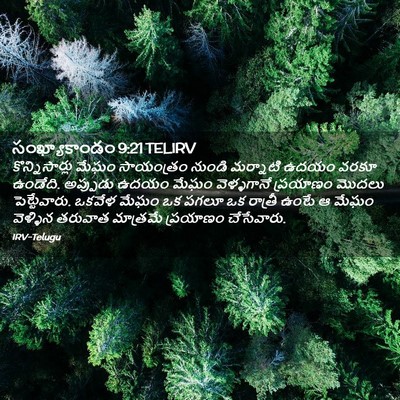 Picture 02 - సంఖ్యాకాండం 9:21 TELIRV - కొన్నిసార్లు మేఘం - Bible Verse Picture
