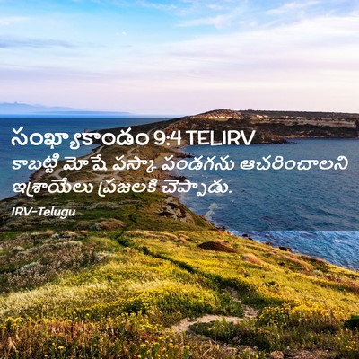 Picture 02 - సంఖ్యాకాండం 9:4 TELIRV - కాబట్టి మోషే - Bible Verse Picture
