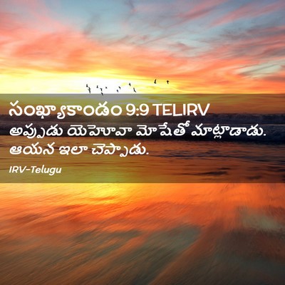Picture 02 - సంఖ్యాకాండం 9:9 TELIRV - అప్పుడు యెహోవా - Bible Verse Picture