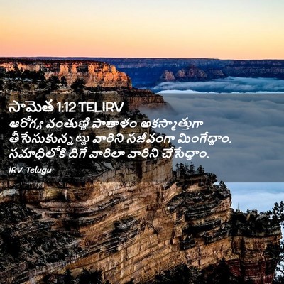 Picture 02 - సామెత 1:12 TELIRV - ఆరోగ్య వంతుణ్ణి - Bible Verse Picture