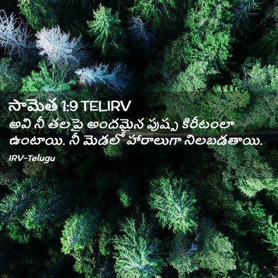 Picture 02 - సామెత 1:9 TELIRV - అవి నీ తలపై అందమైన - Bible Verse Picture