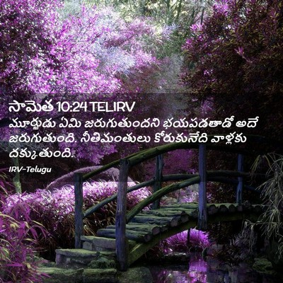 Picture 02 - సామెత 10:24 TELIRV - మూర్ఖుడు ఏమి - Bible Verse Picture
