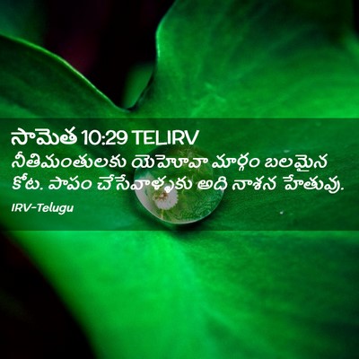 Picture 02 - సామెత 10:29 TELIRV - నీతిమంతులకు - Bible Verse Picture