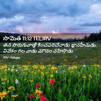 Picture 02 - సామెత 11:12 TELIRV - తన పొరుగువాణ్ణి - Bible Verse Picture