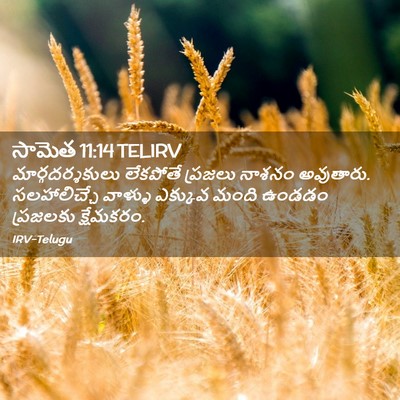 Picture 02 - సామెత 11:14 TELIRV - మార్గదర్శకులు - Bible Verse Picture