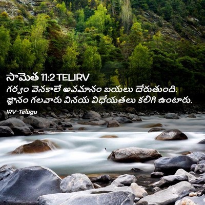 Picture 02 - సామెత 11:2 TELIRV - గర్వం వెనకాలే - Bible Verse Picture