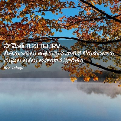 Picture 02 - సామెత 11:23 TELIRV - నీతిమంతులు - Bible Verse Picture