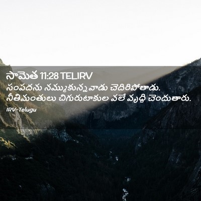 Picture 02 - సామెత 11:28 TELIRV - సంపదను - Bible Verse Picture