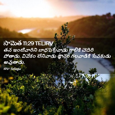 Picture 02 - సామెత 11:29 TELIRV - తన ఇంటివారిని - Bible Verse Picture