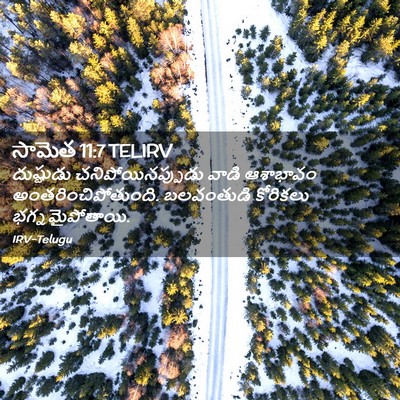 Picture 02 - సామెత 11:7 TELIRV - దుష్టుడు - Bible Verse Picture