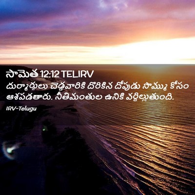 Picture 02 - సామెత 12:12 TELIRV - దుర్మార్గులు - Bible Verse Picture