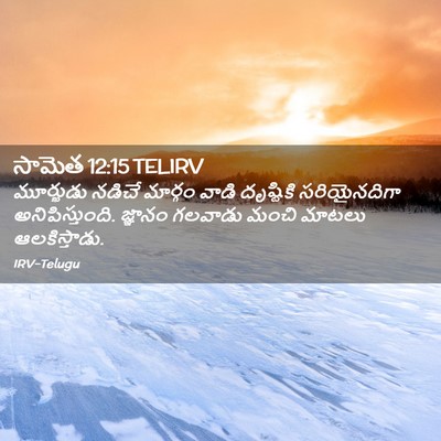Picture 02 - సామెత 12:15 TELIRV - మూర్ఖుడు నడిచే - Bible Verse Picture