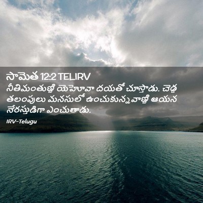 Picture 02 - సామెత 12:2 TELIRV - నీతిమంతుణ్ణి - Bible Verse Picture