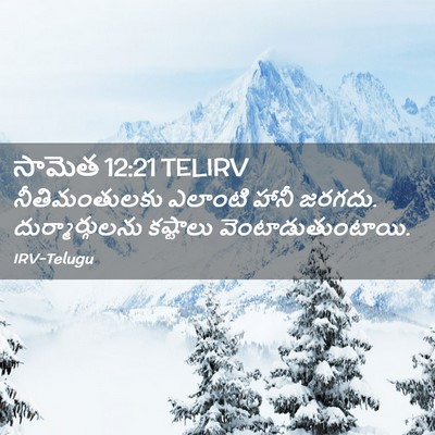 Picture 02 - సామెత 12:21 TELIRV - నీతిమంతులకు - Bible Verse Picture