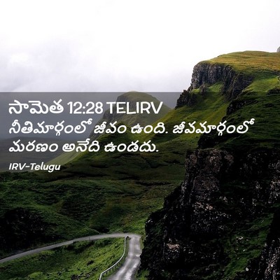 Picture 02 - సామెత 12:28 TELIRV - నీతిమార్గంలో జీవం - Bible Verse Picture