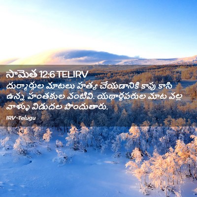 Picture 02 - సామెత 12:6 TELIRV - దుర్మార్గుల మాటలు - Bible Verse Picture