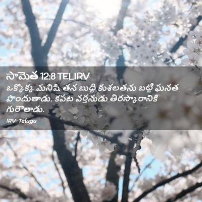 Picture 02 - సామెత 12:8 TELIRV - ఒక్కొక్క మనిషి తన - Bible Verse Picture