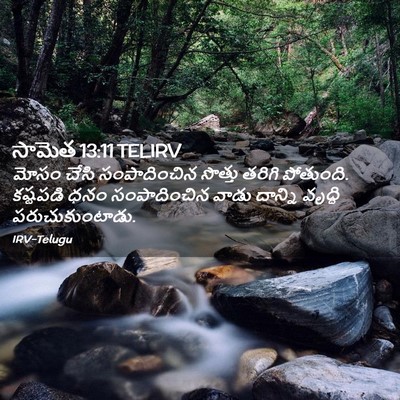 Picture 02 - సామెత 13:11 TELIRV - మోసం చేసి - Bible Verse Picture