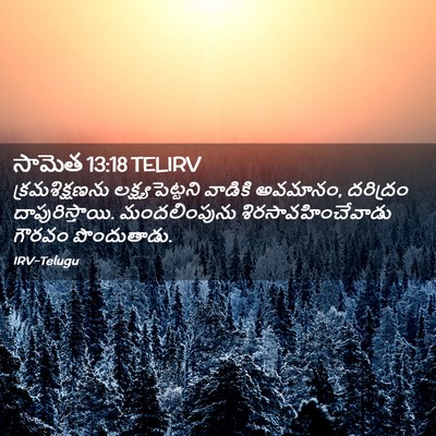 Picture 02 - సామెత 13:18 TELIRV - క్రమశిక్షణను - Bible Verse Picture