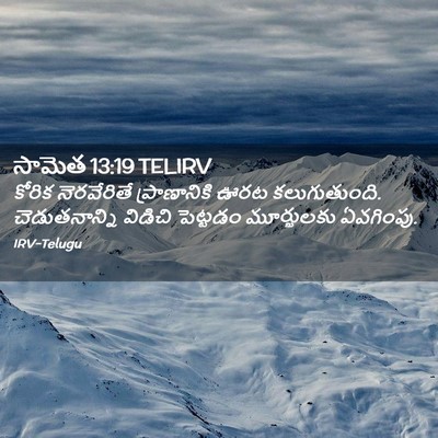 Picture 02 - సామెత 13:19 TELIRV - కోరిక నెరవేరితే - Bible Verse Picture