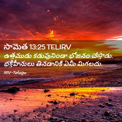 Picture 02 - సామెత 13:25 TELIRV - ఉత్తముడు - Bible Verse Picture