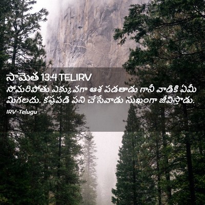 Picture 02 - సామెత 13:4 TELIRV - సోమరిపోతు - Bible Verse Picture