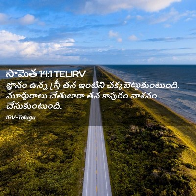 Picture 02 - సామెత 14:1 TELIRV - జ్ఞానం ఉన్న - Bible Verse Picture