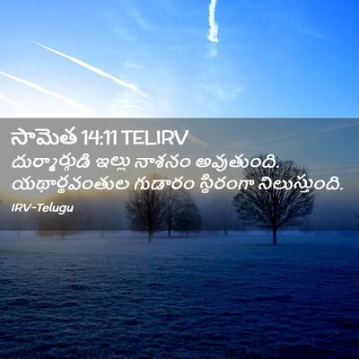 Picture 02 - సామెత 14:11 TELIRV - దుర్మార్గుడి - Bible Verse Picture