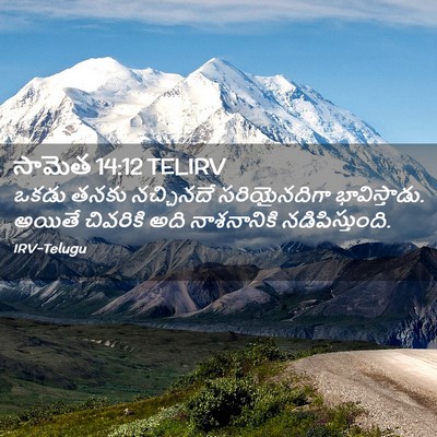 Picture 02 - సామెత 14:12 TELIRV - ఒకడు తనకు - Bible Verse Picture