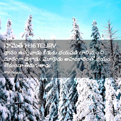 Picture 02 - సామెత 14:16 TELIRV - జ్ఞానం ఉన్నవాడు - Bible Verse Picture