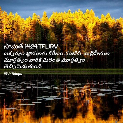 Picture 02 - సామెత 14:24 TELIRV - ఐశ్వర్యం - Bible Verse Picture