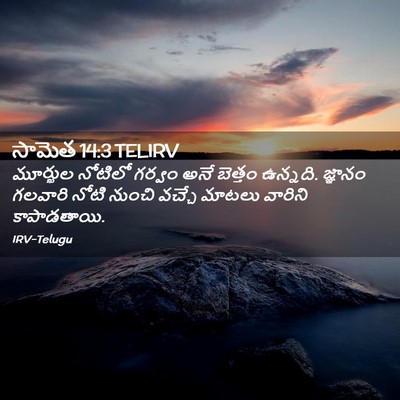 Picture 02 - సామెత 14:3 TELIRV - మూర్ఖుల నోటిలో - Bible Verse Picture