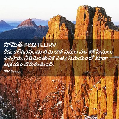 Picture 02 - సామెత 14:32 TELIRV - కీడు కలిగినప్పుడు - Bible Verse Picture