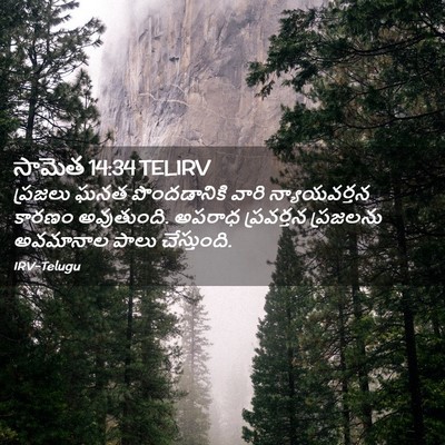 Picture 02 - సామెత 14:34 TELIRV - ప్రజలు ఘనత - Bible Verse Picture