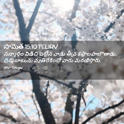 Picture 02 - సామెత 15:10 TELIRV - సన్మార్గం - Bible Verse Picture