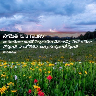 Picture 02 - సామెత 15:13 TELIRV - ఆనందంగా ఉండే - Bible Verse Picture