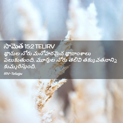 Picture 02 - సామెత 15:2 TELIRV - జ్ఞానుల నోరు - Bible Verse Picture
