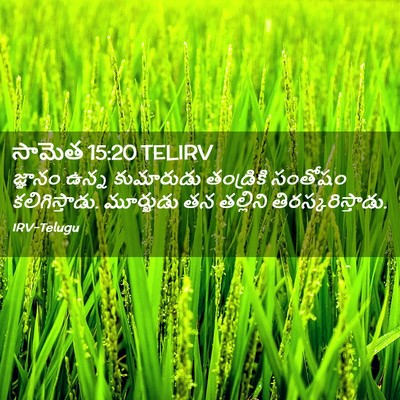 Picture 02 - సామెత 15:20 TELIRV - జ్ఞానం ఉన్న - Bible Verse Picture
