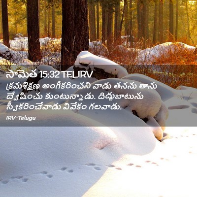 Picture 02 - సామెత 15:32 TELIRV - క్రమశిక్షణ - Bible Verse Picture